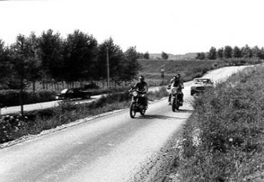 festepopolari_134_20081006_1689945166