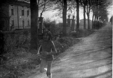 festepopolari_183_20081006_1212346678