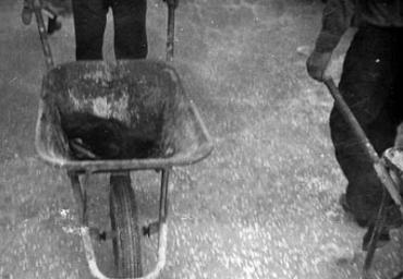 festepopolari_191_20081006_1314920086