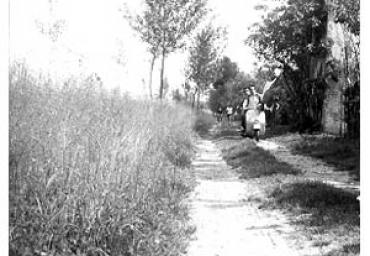 festepopolari_232_20081006_1374407249