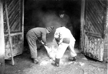 lavoricampagna_104_20081006_1021029414