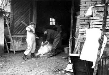 lavoricampagna_105_20081006_1362502150
