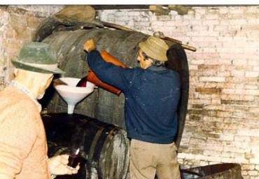 lavoricampagna_106_20081006_1253437337