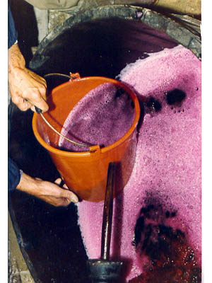 lavoricampagna_110_20081006_1217710585