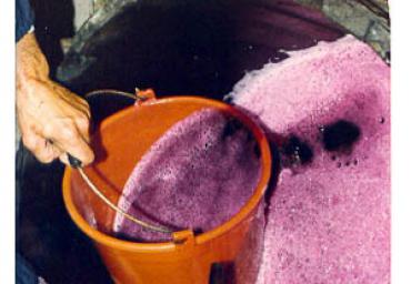 lavoricampagna_110_20081006_1217710585