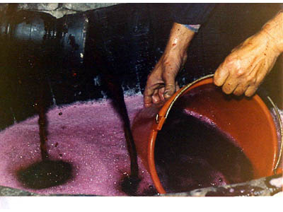 lavoricampagna_111_20081006_1175089883