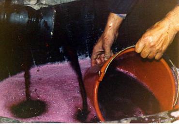 lavoricampagna_111_20081006_1175089883