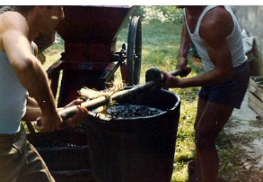lavoricampagna_116_20081006_1517719985