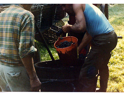 lavoricampagna_118_20081006_1240036628
