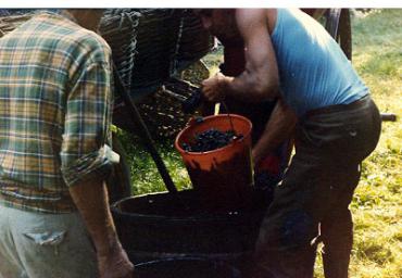 lavoricampagna_118_20081006_1240036628
