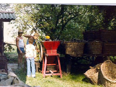 lavoricampagna_119_20081006_1518589025