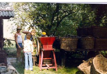 lavoricampagna_119_20081006_1518589025