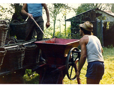 lavoricampagna_120_20081006_1598249814