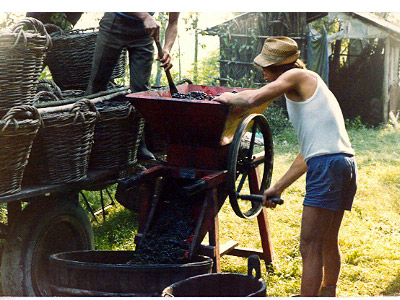 lavoricampagna_121_20081006_1886778116
