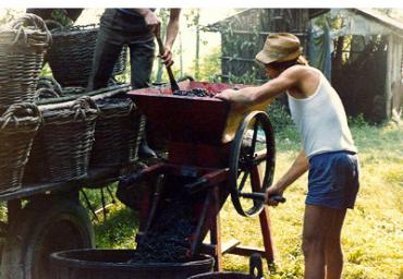 lavoricampagna_121_20081006_1886778116