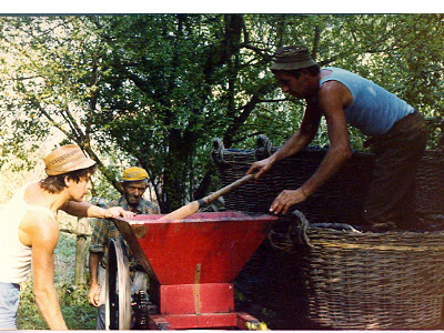 lavoricampagna_122_20081006_1396278927