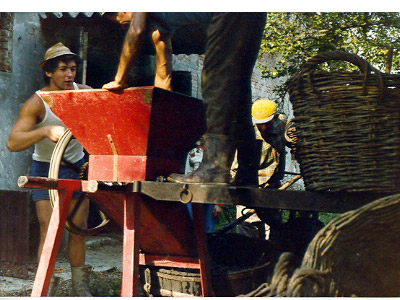 lavoricampagna_123_20081006_1490672851