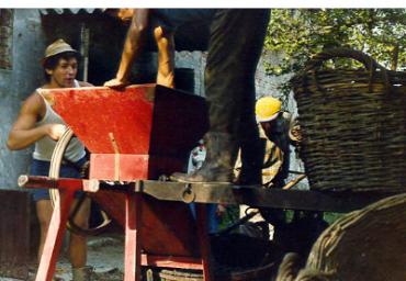 lavoricampagna_123_20081006_1490672851