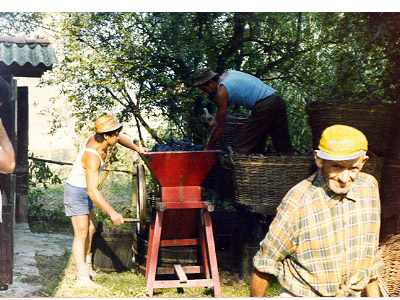 lavoricampagna_124_20081006_1960359496