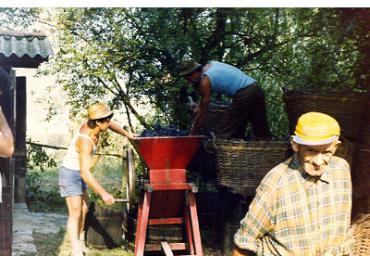 lavoricampagna_124_20081006_1960359496