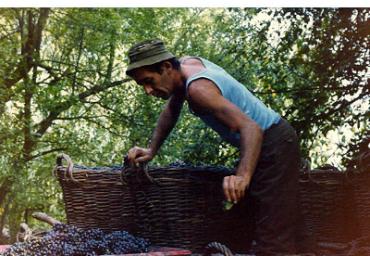 lavoricampagna_125_20081006_1921647550