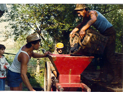 lavoricampagna_127_20081006_1561922510
