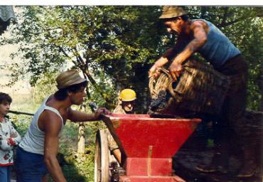 lavoricampagna_127_20081006_1561922510