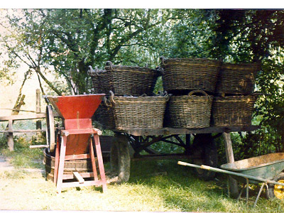 lavoricampagna_128_20081006_1272176693