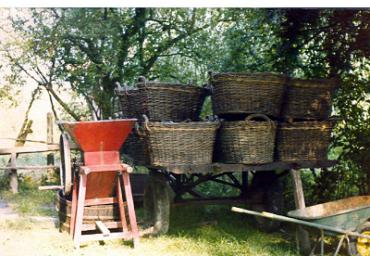 lavoricampagna_128_20081006_1272176693