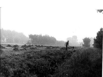 lavoricampagna_130_20081006_1877318088