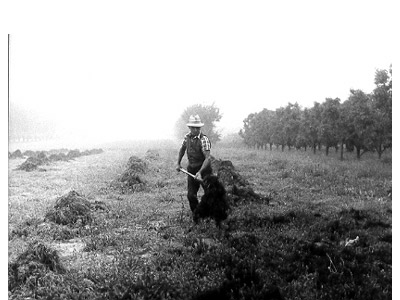 lavoricampagna_131_20081006_1606181999