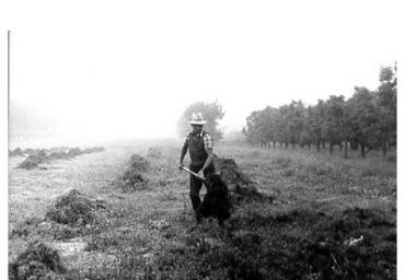 lavoricampagna_131_20081006_1606181999