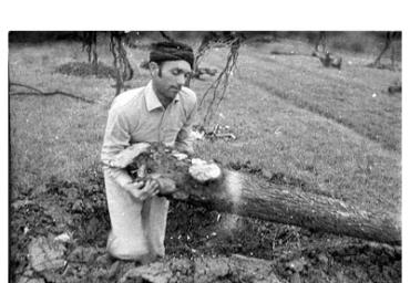 lavoricampagna_135_20081006_1329128940
