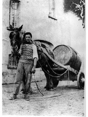 lavoricampagna_21_20081006_1108523980