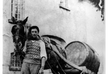 lavoricampagna_21_20081006_1108523980