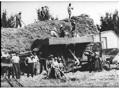 lavoricampagna_36_20081006_2063952616