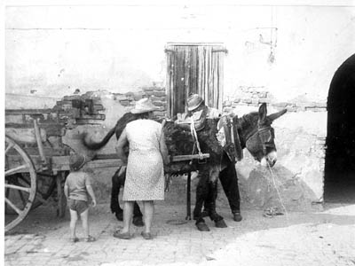 lavoricampagna_42_20081006_1231915362