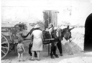 lavoricampagna_42_20081006_1231915362