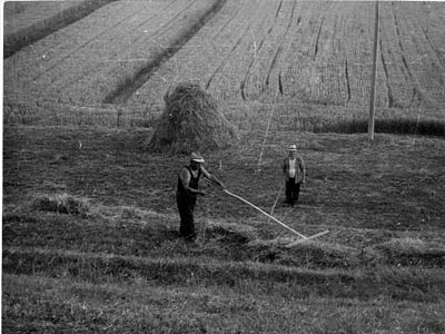 lavoricampagna_44_20081006_2041094562