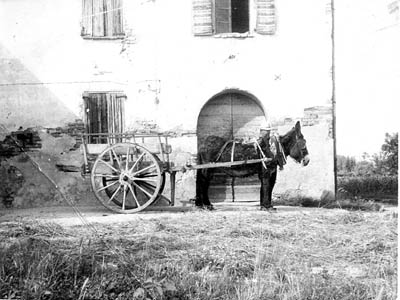 lavoricampagna_54_20081006_1567441670