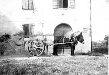 lavoricampagna_54_20081006_1567441670