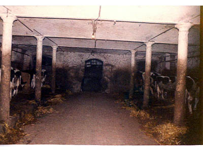 lavoricampagna_65_20081006_1578933696