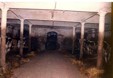 lavoricampagna_65_20081006_1578933696