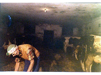 lavoricampagna_67_20081006_1407228118