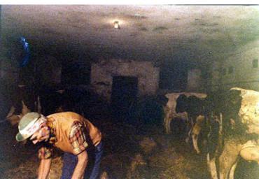 lavoricampagna_67_20081006_1407228118