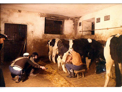lavoricampagna_68_20081006_1876540904