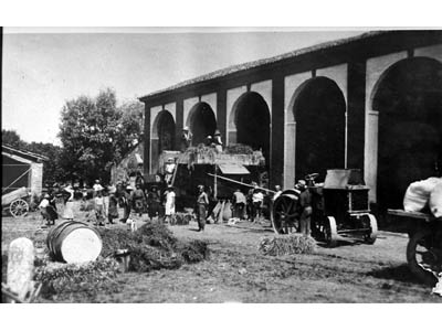 lavoricampagna_7_20081006_1795016104
