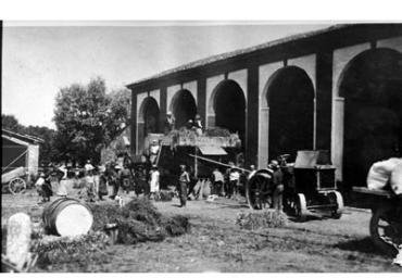 lavoricampagna_7_20081006_1795016104