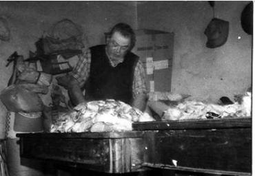 lavoricampagna_77_20081006_1588160277