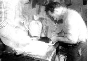 lavoricampagna_78_20081006_1883704024